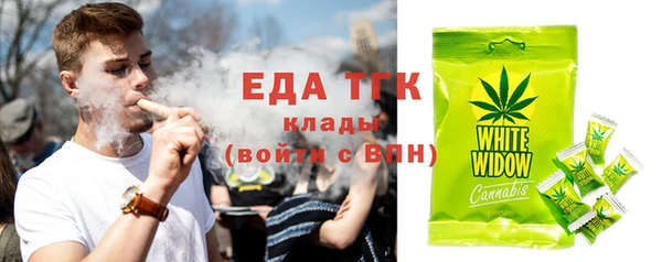 тгк Бородино