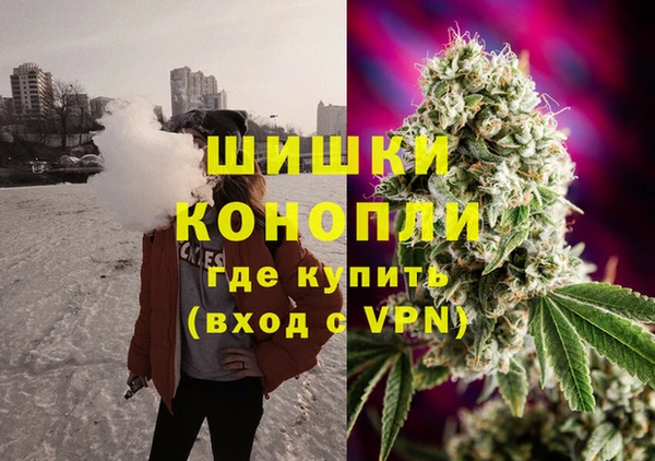spice Бронницы