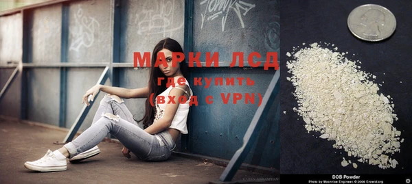 тгк Бородино
